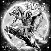 FAST & LOUD