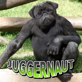 Avatar for JuggernautSE