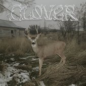 CLOVER