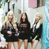 ODD EYE CIRCLE