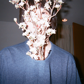 Avatar for Satonatrix