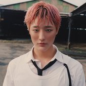 I'll Never Love Again