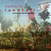 Waiting for Landfall