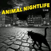 Animal Nightlife Live