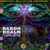 Bardo Realm Navigators