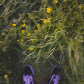 Avatar for cmten