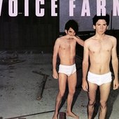 Voice Farm