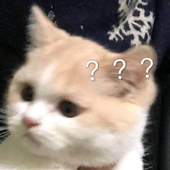 h4mmyy 的头像