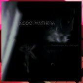 Album cover of the song "This Will Make You Love Again" from Kiddo Panthera