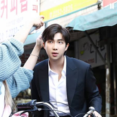 thebikingkoala 的头像