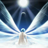 Avatar for AngelLockdown