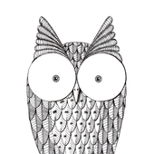 MajesticOwl için avatar