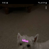 Avatar for ignarai