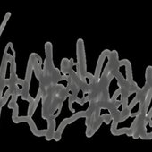 Squamosorrhaphy logo