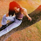 Daydreamer Don't Fall