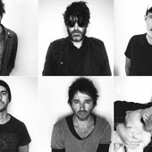 interview-animal-triste-1024x683.jpg