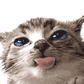watata gato lengua