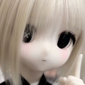 Avatar for dollroom