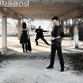 The Band (2008)