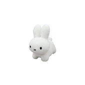 Avatar for tinynoob23