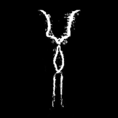 Avatar for tool9988
