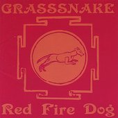 Red Fire Dog