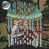 6 Weeks in India - Single