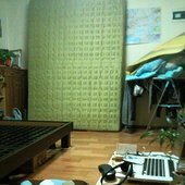 Goat's \"studio\" in Gimhae, Korea