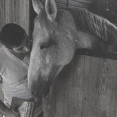 Runaway Horses (Andrea Morana)