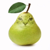 Avatar for atmatjp