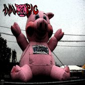 Anal Pig