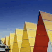 243946655693.gif
