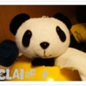 panda_panda için avatar