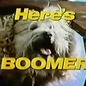 B00m3r48 的头像