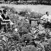 Paper-Jays-playing-amongst-the-flowers2.jpg