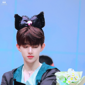 Gradi_hao 的头像