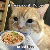 Adlerraucht 的头像