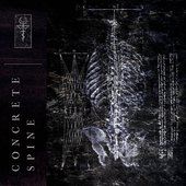 Concrete Spine
