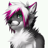 WolfWolfy için avatar