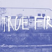 True Fir