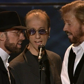 BeeGees 11