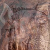 Abstraction