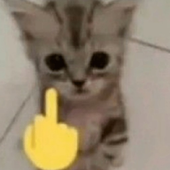 piorella_mp3 的头像