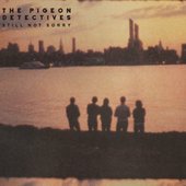 Still Not Sorry (The Best Of The Pigeon Detectives) [Explicit]