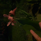 Sanchezx12 的头像