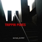 Sponge Monkey - Trippin Pixies