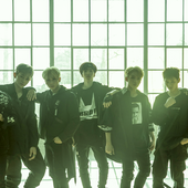 Z-boys