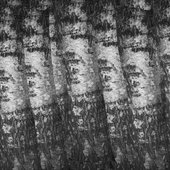 315023694_1326568468095753_2831798831786658826_n.jpeg