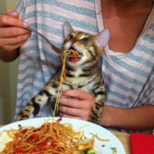 MrAntidote 的头像