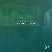 We Like It Here (Remixed + Remastered + Reimagined)